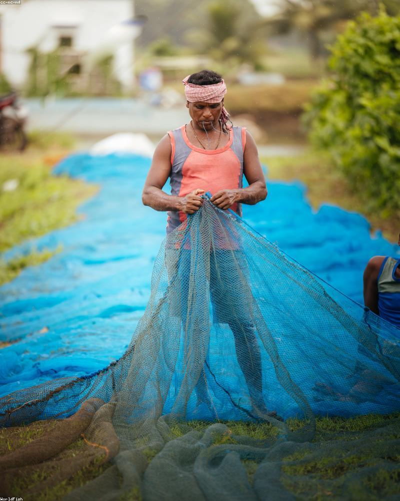 Lehengas